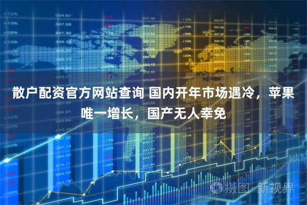 散户配资官方网站查询 国内开年市场遇冷，苹果唯一增长，国产无人幸免