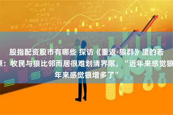 股指配资股市有哪些 探访《重返·狼群》里的若尔盖草原：牧民与狼比邻而居很难划清界限，“近年来感觉狼增多了”